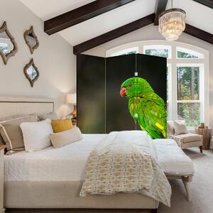 Paraván - Papagáj na vetve (126x170 cm)