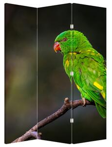 Paraván - Papagáj na vetve (126x170 cm)