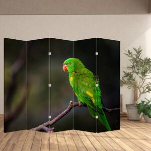 Paraván - Papagáj na vetve (210x170 cm)