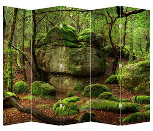 Paraván - Kúzelný les (210x170 cm)