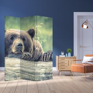 Paraván - Medveď (126x170 cm)