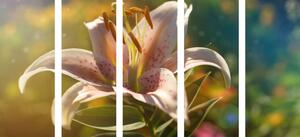 5-dielny obraz nádherný kvet s retro nádychom