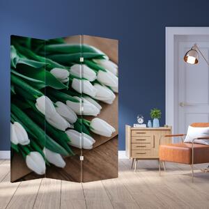 Paraván - Kytica bielych tulipánov (126x170 cm)