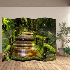 Paraván - Schody v dažďovom pralese (210x170 cm)