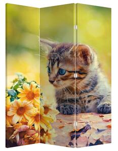 Paraván - Koťátko pozerajúce sa na kvetinu (135x180 cm)