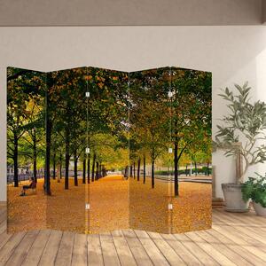 Paraván - Alej jesenných stromov (210x170 cm)