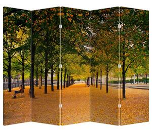 Paraván - Alej jesenných stromov (210x170 cm)