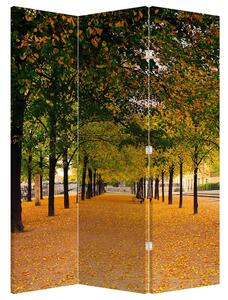 Paraván - Alej jesenných stromov (126x170 cm)