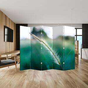 Paraván - Steblo trávy (210x170 cm)