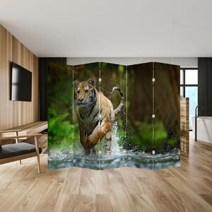 Paraván - Bežiaci tiger (210x170 cm)