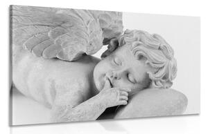 Obraz čiernobiely spiaci anjelik