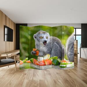 Paraván - Lemur (210x170 cm)