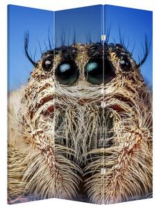 Paraván - Detail pavúka (126x170 cm)