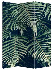 Paraván - Listy papradí (126x170 cm)