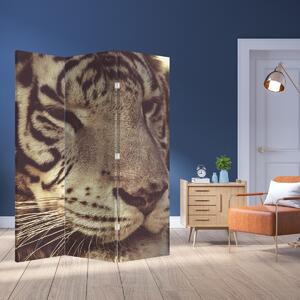 Paraván - Tiger (126x170 cm)