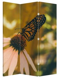 Paraván - Motýľ na kvetine (126x170 cm)