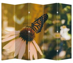 Paraván - Motýľ na kvetine (210x170 cm)