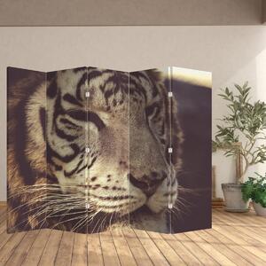 Paraván - Tiger (210x170 cm)