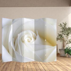 Paraván - Biela ruža (210x170 cm)