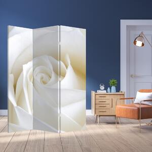 Paraván - Biela ruža (126x170 cm)