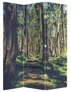 Paraván - Cesta medzi stromami (126x170 cm)