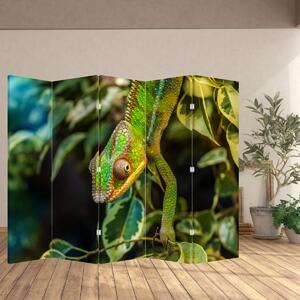 Paraván - Chameleon (210x170 cm)