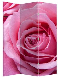 Paraván - Ruže (126x170 cm)