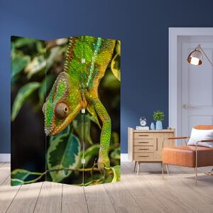 Paraván - Chameleon (126x170 cm)