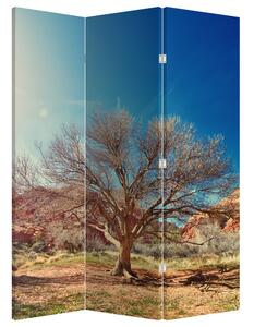 Paraván - Strom v púšti (126x170 cm)