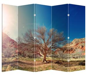 Paraván - Strom v púšti (210x170 cm)