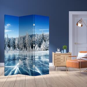 Paraván - Zamrznuté jazero a zasnežené stromy (126x170 cm)