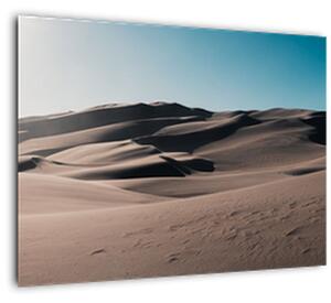 Obraz - Z púšte (70x50 cm)