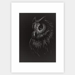 Plagát Owl in Black