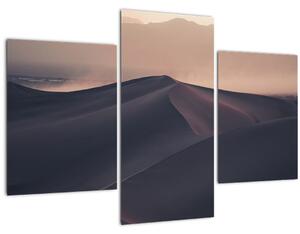 Obraz - Piesočné duny (90x60 cm)