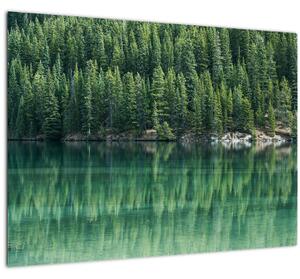 Obraz - Ihličnany pri jazere (70x50 cm)