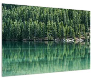 Obraz - Ihličnany pri jazere (90x60 cm)
