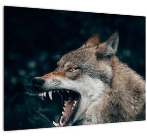 Obraz vlka (70x50 cm)