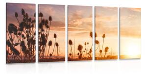 5-dielny obraz steblá trávy pri východe slnka