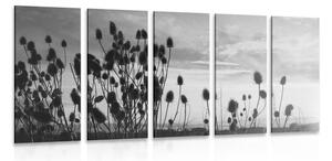 5-dielny obraz steblá trávy na poli v čiernobielom prevedení