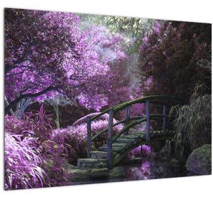 Obraz - Mystická záhrada (70x50 cm)
