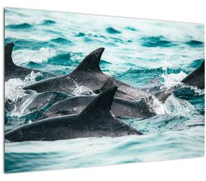 Obraz - Delfíny v oceáne (90x60 cm)