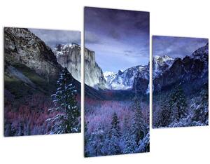 Obraz - Yosemite, USA (90x60 cm)