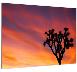 Sklenený obraz západu slnka nad siluetou stromu (70x50 cm)