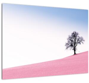 Obraz - Ružový sen (70x50 cm)