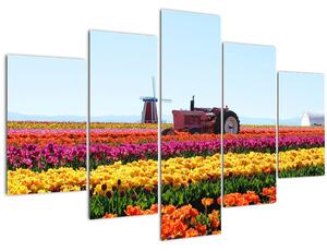 Obraz tulipánové farmy (150x105 cm)