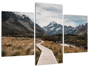 Obraz - Chodník v údolí hory Mt. Cook (90x60 cm)