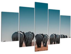 Obraz - Odchod slonov (150x105 cm)