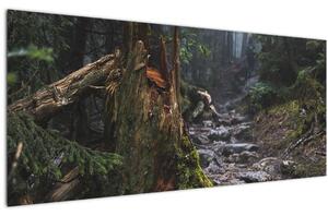Obraz - V lese (120x50 cm)