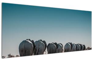 Obraz - Odchod slonov (120x50 cm)