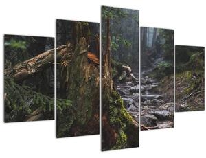 Obraz - V lese (150x105 cm)